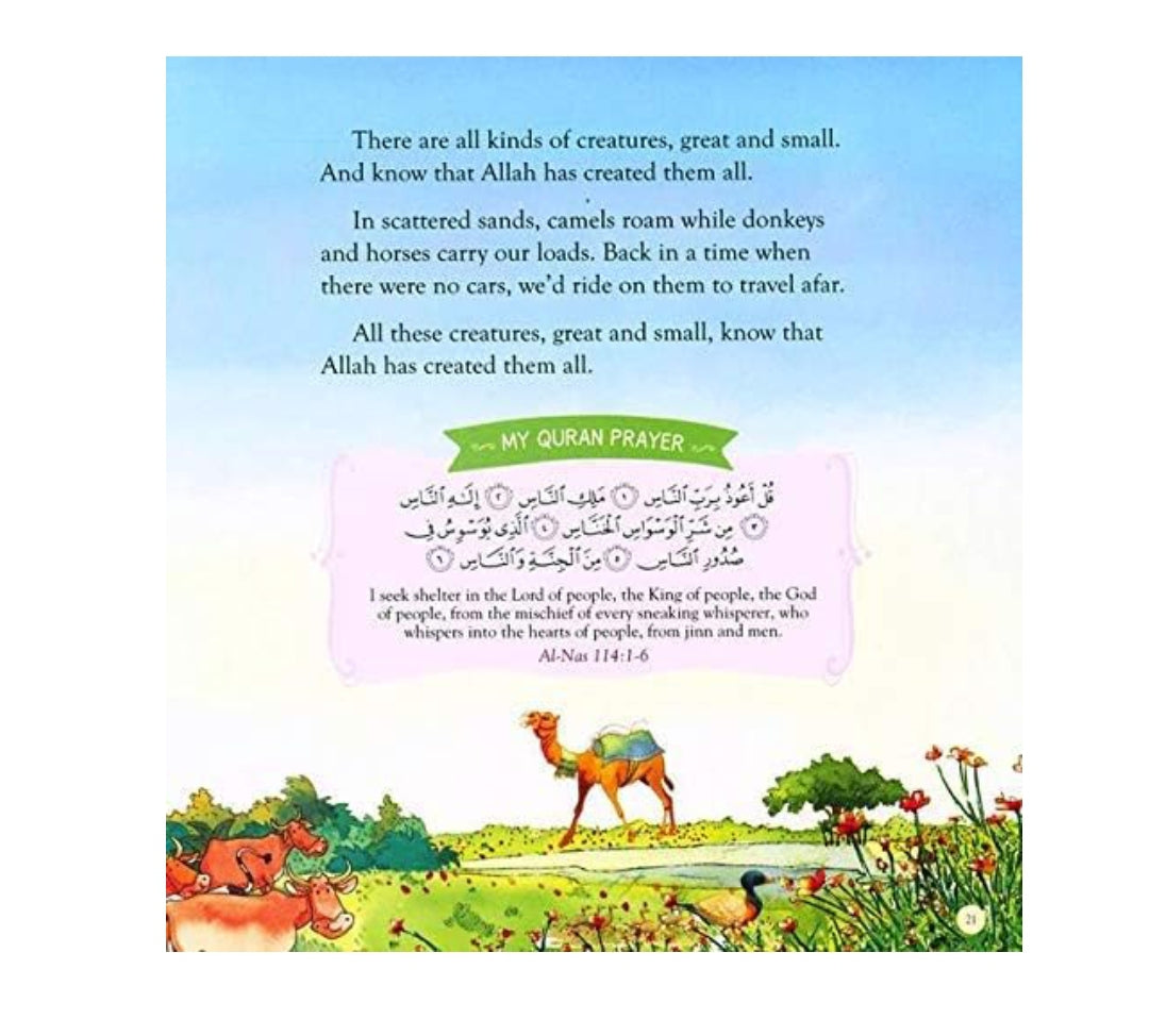 Bedtime Quran Stories (Hardbound)